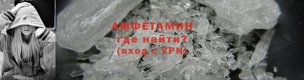 прущие грибы Алзамай