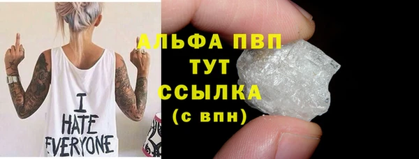 прущие грибы Алзамай