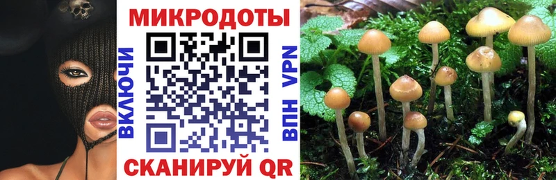 Галлюциногенные грибы GOLDEN TEACHER  Свирск 